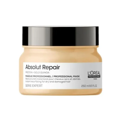 1134017-LOreal-Professional-Absolut-Masque-250Ml.jpg